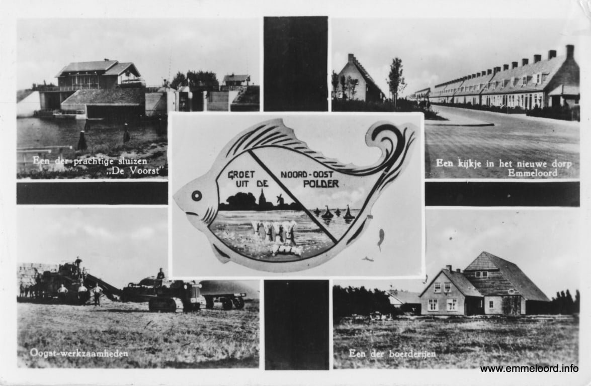 5-luik-met-vis-zw-8.jpg 5-luik-met-vis-zw-8.jpg